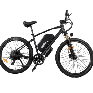 ChamRider DM427 E-Bike
