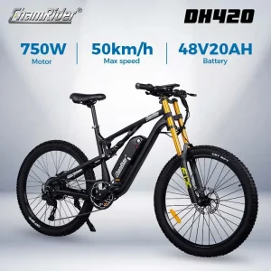 ChamRider DH420 E-Bike