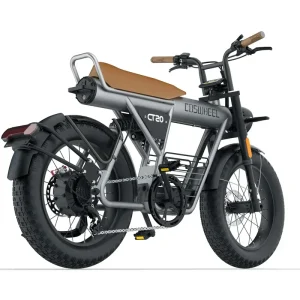 ChamRider DT450 Electric Bike